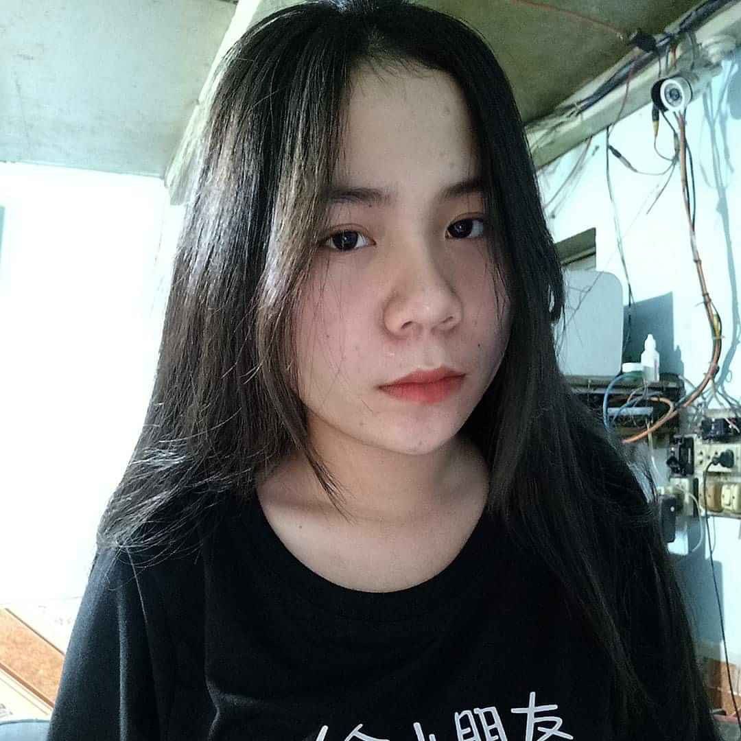 Mèo Simmy là ai khiến cộng đồng mạng yêu thích mỗi ngày