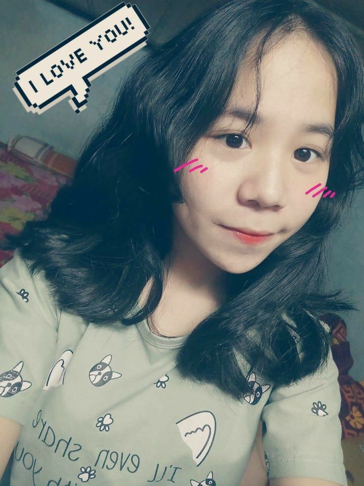 Ảnh Mèo Simmy cute là lựa chọn của nhiều fan trẻ