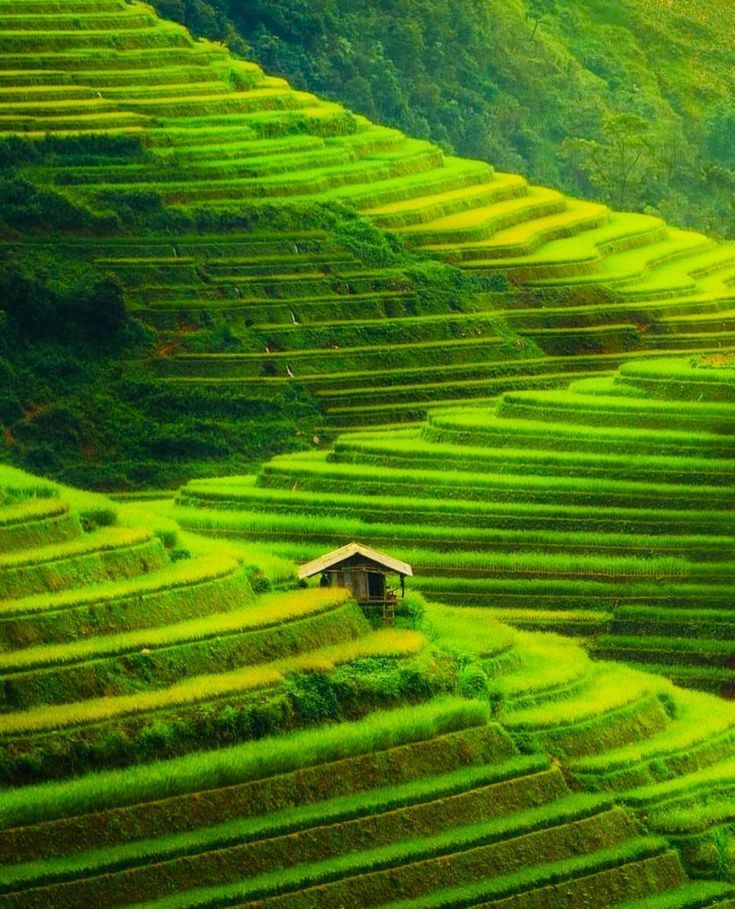 Cảnh đồng quê nhìn từ trên cao là những ruộng bậc thang uốn lượn