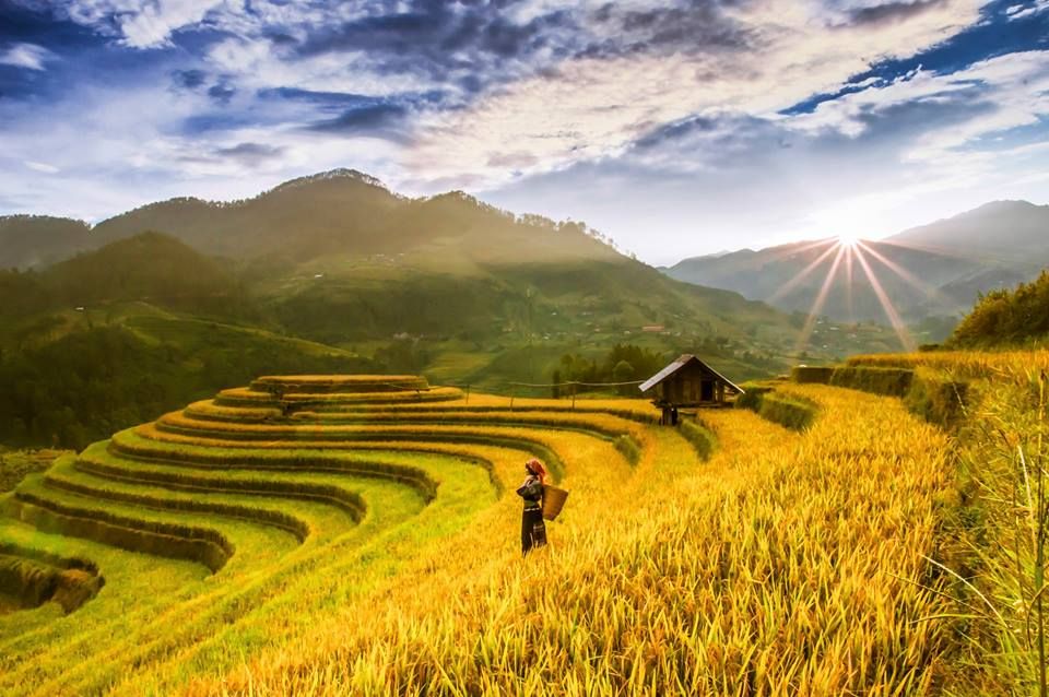 Cảnh quê yên bình nhìn từ trên cao là ruộng bậc thang uốn lượn