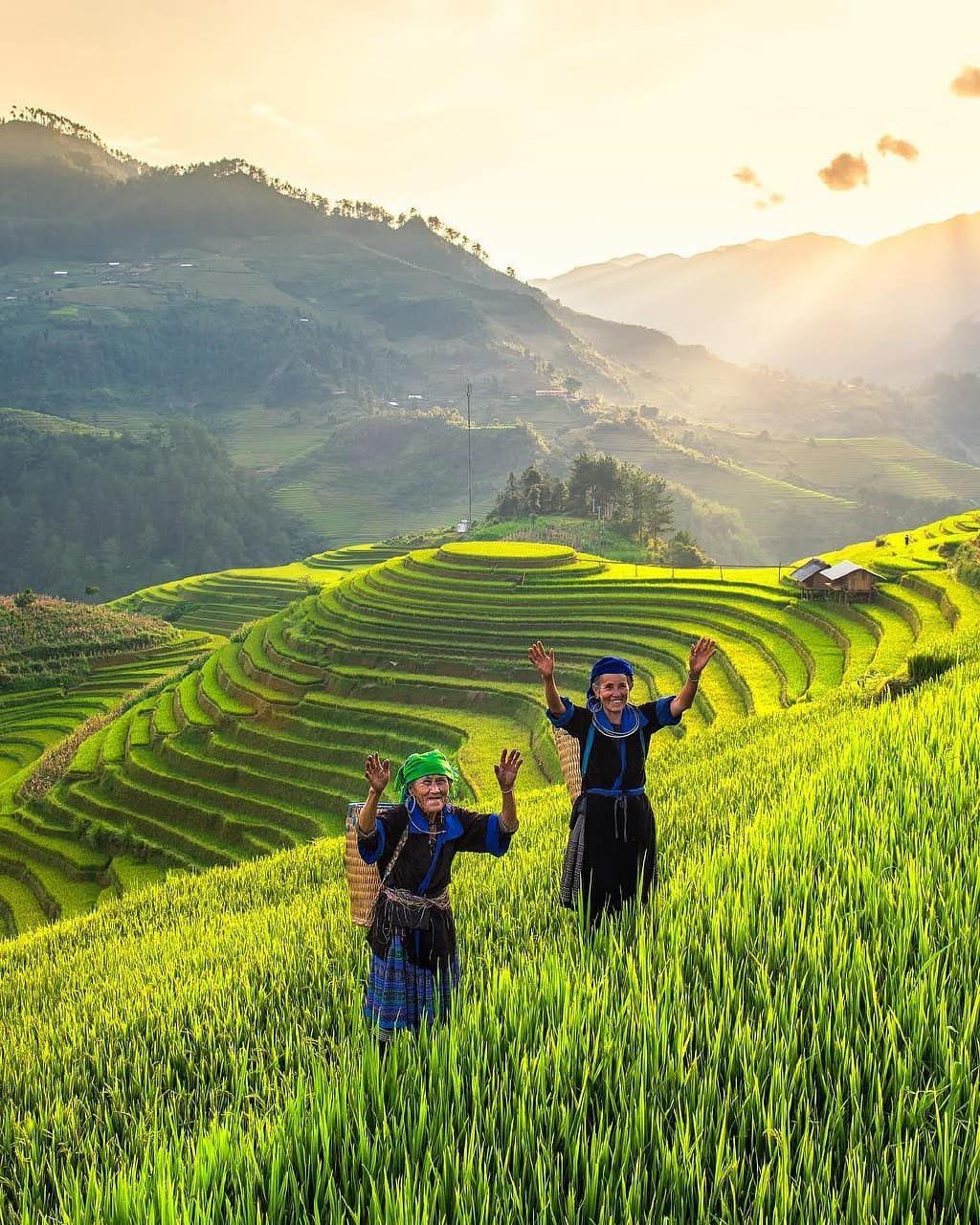 Hình ảnh bình yên ở quê khi người dân gieo mạ trên bậc thang