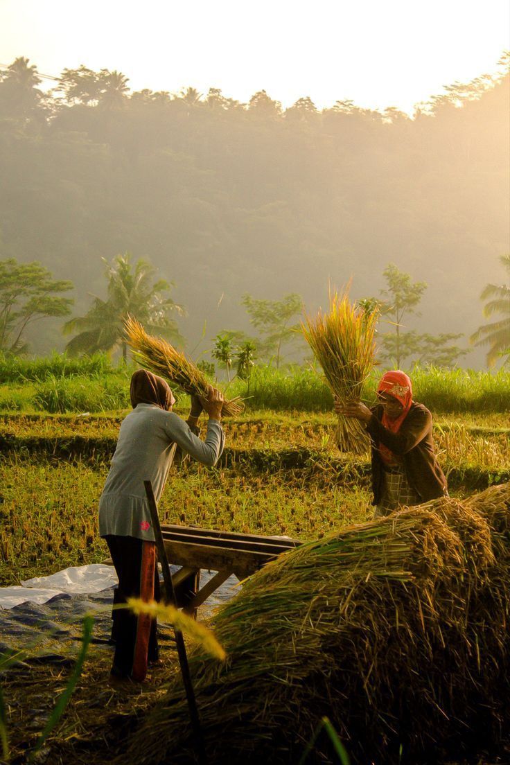 Hình ảnh làng quê yên bình phản chiếu qua mặt áo trong vắt