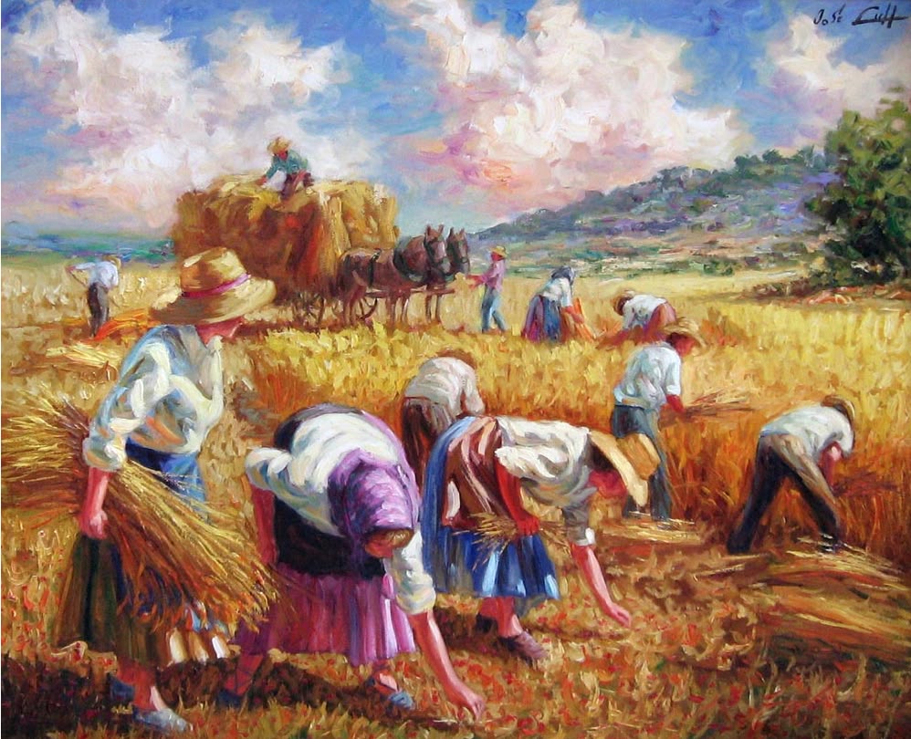 Ảnh đônggf quê chill với ánh nắng sớm chiều lên cảnh đồng gặt