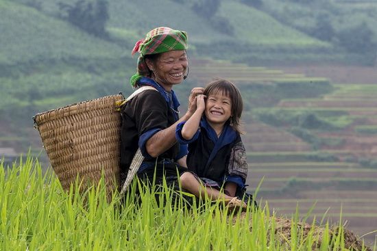 Hình ảnh đồng quê đẹp nhất khi người nông dân đăng cắt lúa