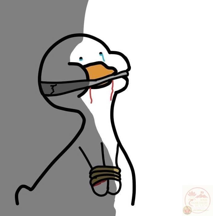 động vật chế ảnh buồn cười