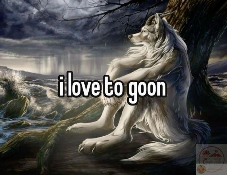 ảnh chế động vật cực hot trend