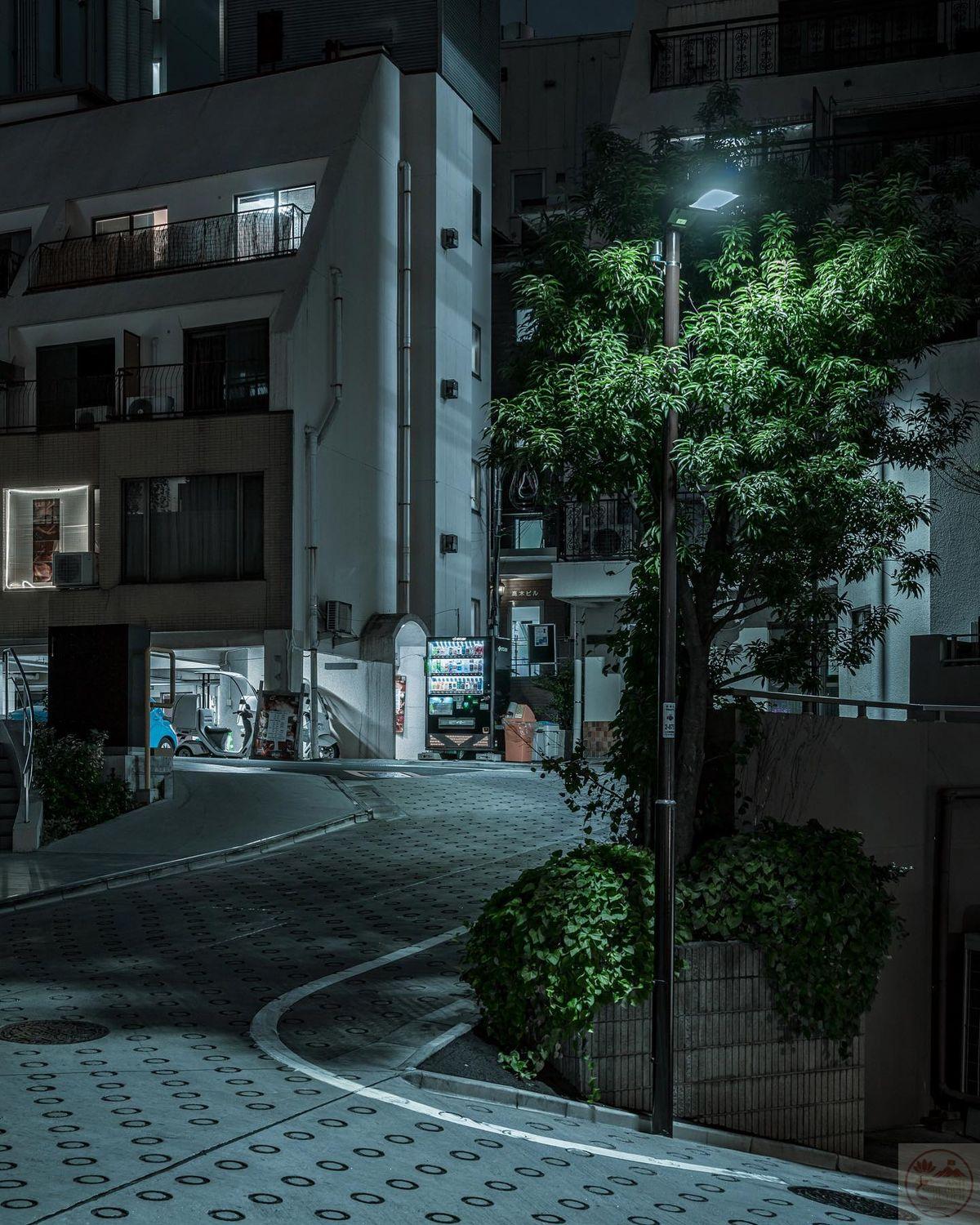 Ánh đèn vàng soi sáng mặt đường, tạo nên bầu không khí dịu dàng và nhiều cảm xúc