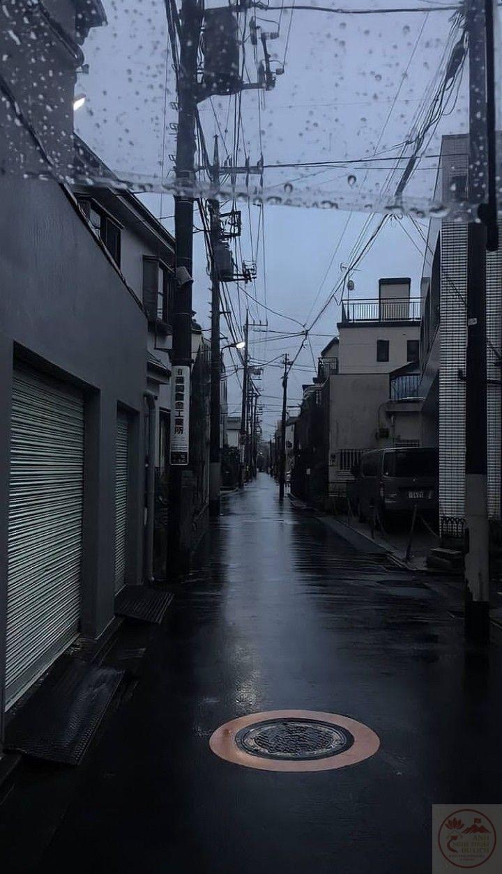 Cảm giác mát lạnh của mưa khiến khung cảnh phố xá thêm phần thư giãn và nhẹ nhõm