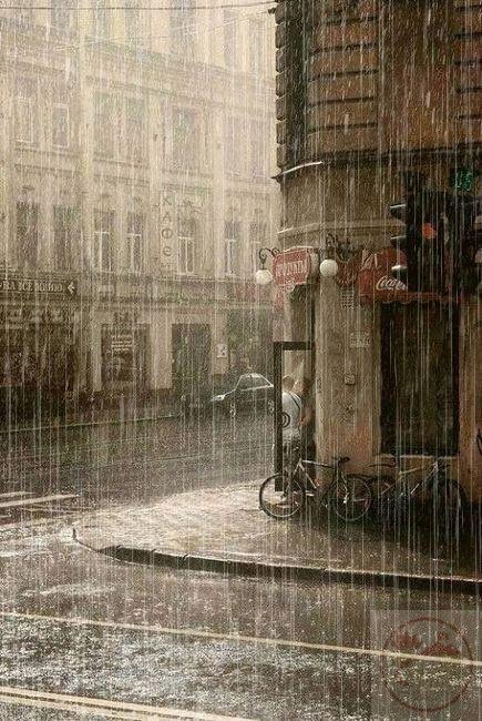 Đường phố trong mưa trở thành góc nhìn thi vị, gợi cảm giác bình yên cho người thưởng thức