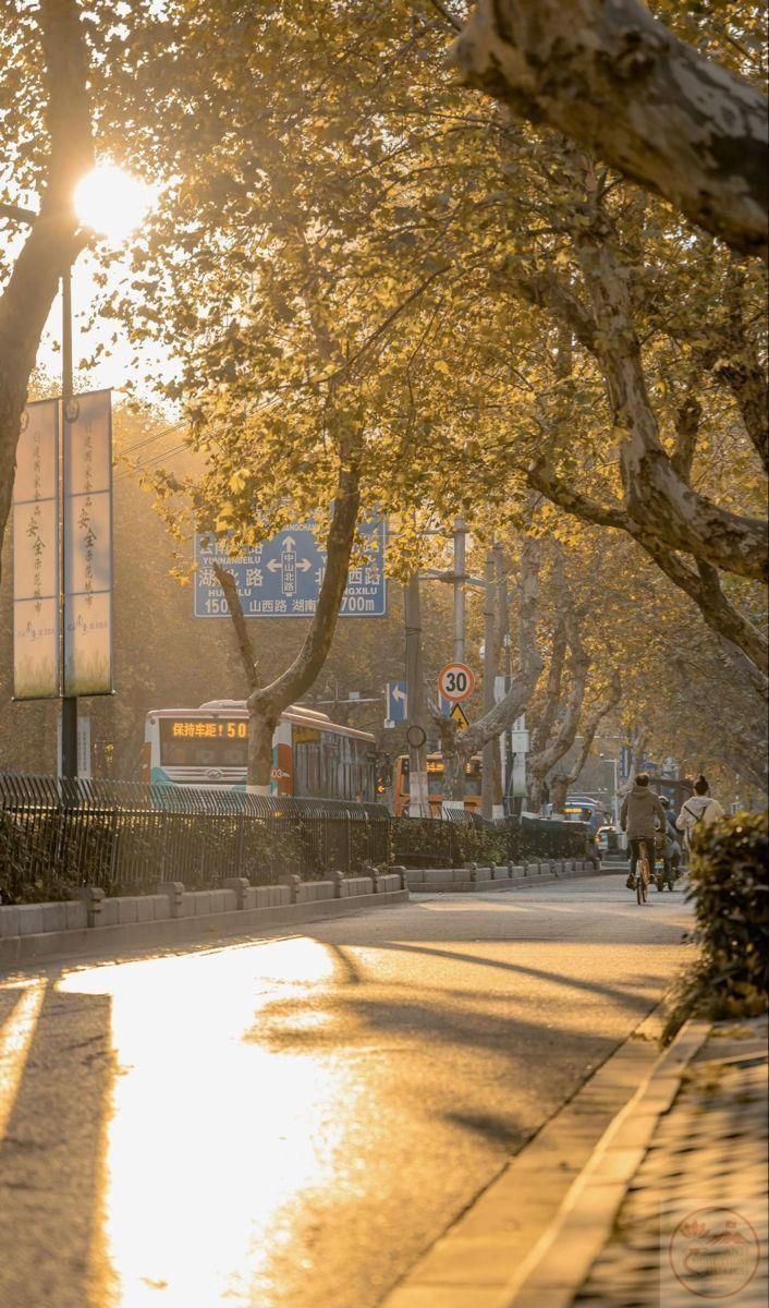 Ánh hoàng hôn phủ xuống con phố quen, khiến khung cảnh trở nên dịu dàng và ấm áp hơn