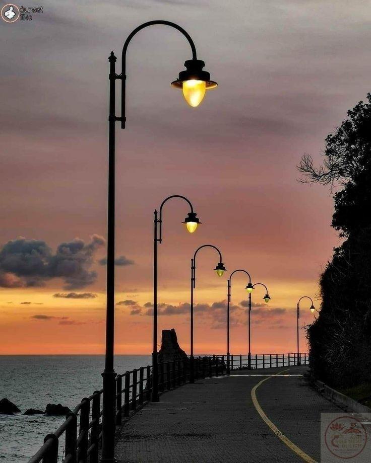 Mỗi khoảnh khắc chiều muộn trên phố đều trở thành thước phim chậm đầy chất thơ