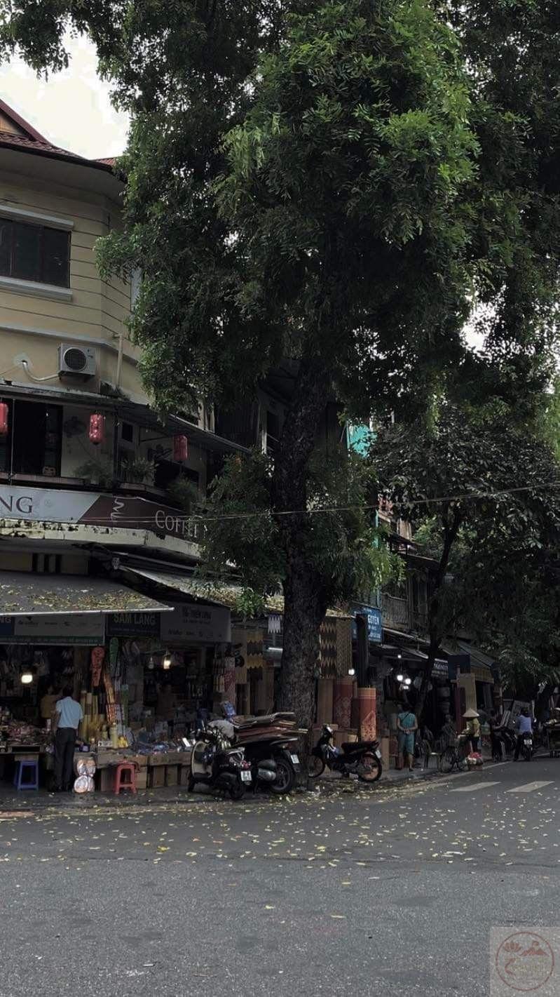 Hình ảnh thủ đô khi về đêm luôn gợi cảm giác trầm lắng, pha chút lãng mạn dịu dàng