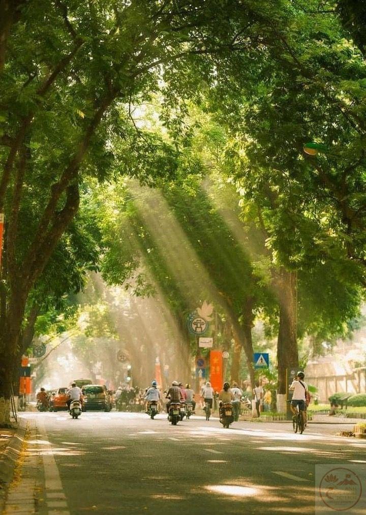 Những góc phố Hà Nội mang lại cảm giác lắng đọng, như nhắc nhở người ta sống chậm lại