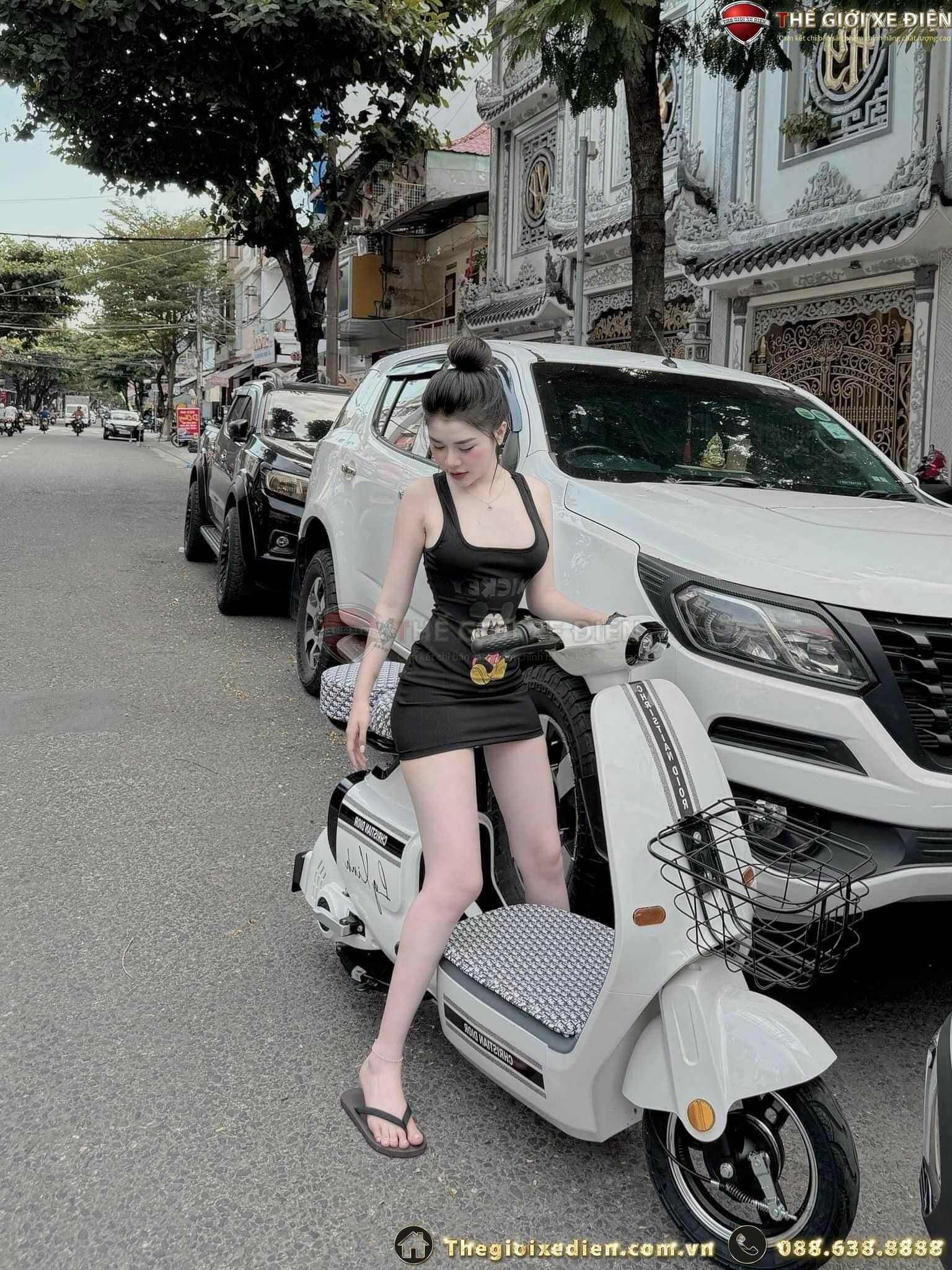 xe đạp điện vc k1 dylexe