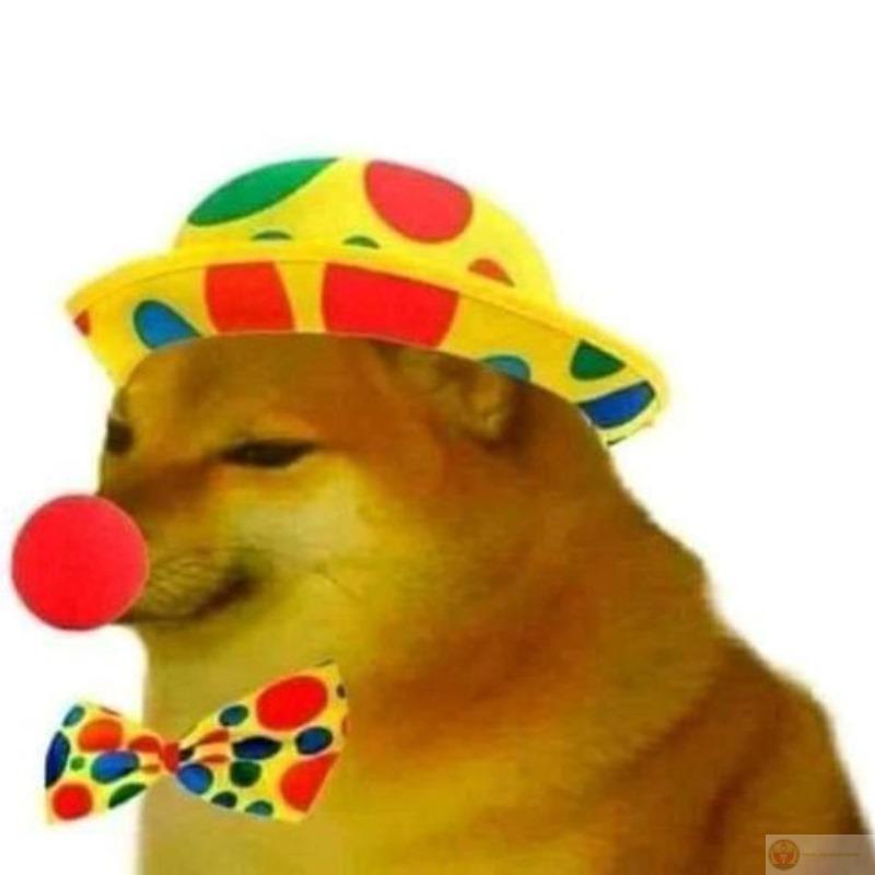 Me just want snack, not this chaos