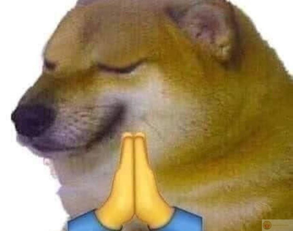 Me have big brain but bad connection