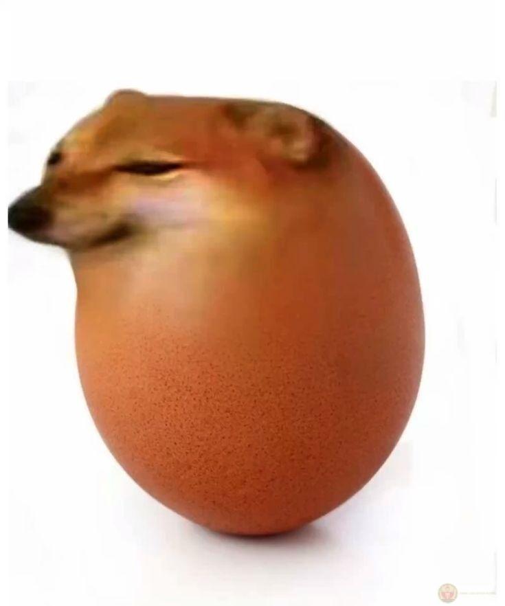 Me always speak first, think later