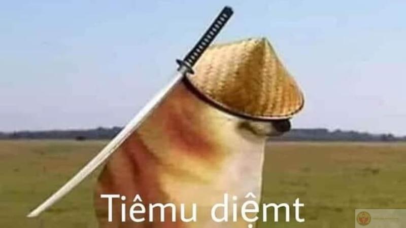 Lỗi do miệng, tim tui vẫn ổn mà