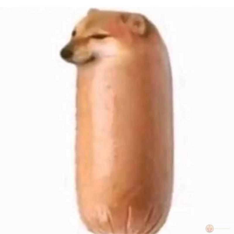 Học hành đàng hoàng mà vẫn nói kiểu Cheems