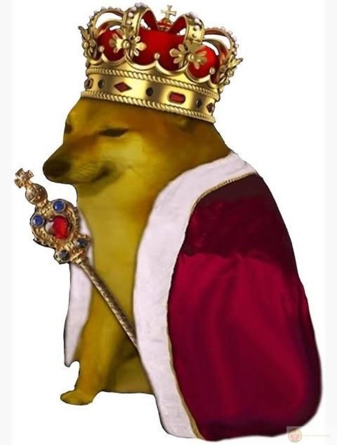 Không phải chó ngu, là chó có cá tính