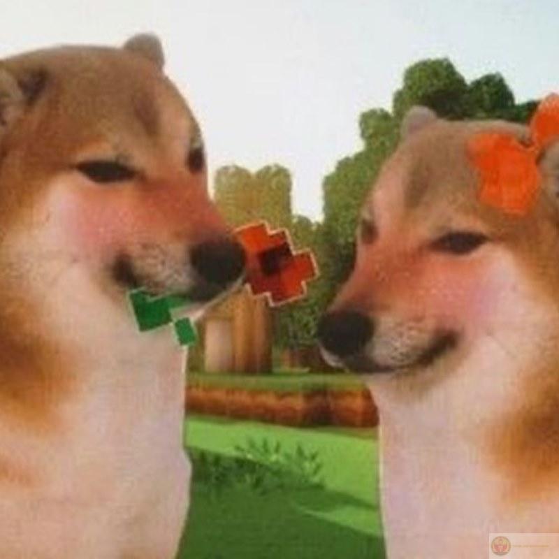 Khi bạn cố gắng nói đúng nhưng vẫn sai