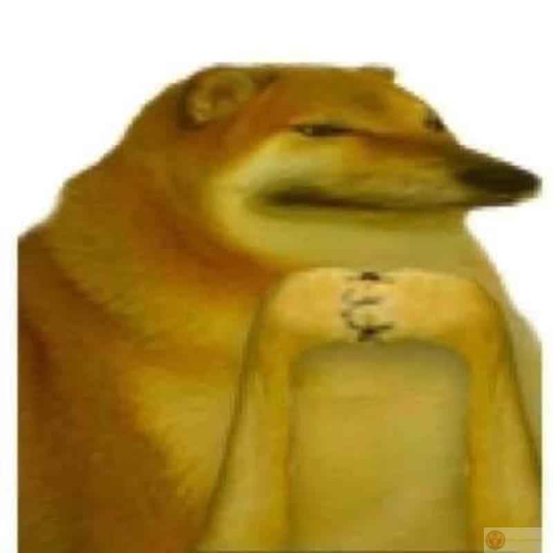 Gương mặt này chỉ dùng để xin tha thứ