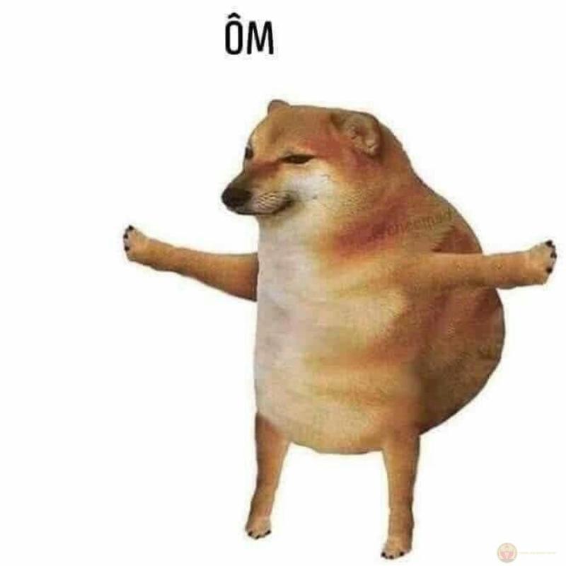 Cheems lúc nào cũng sai một cách đáng yêu