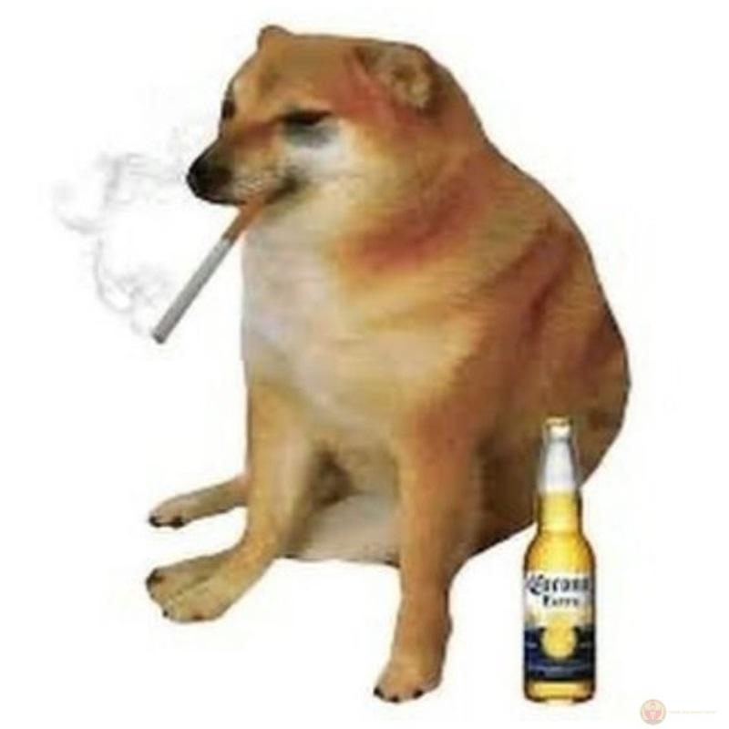 Cái mặt này hợp với môn thể dục lý thuyết