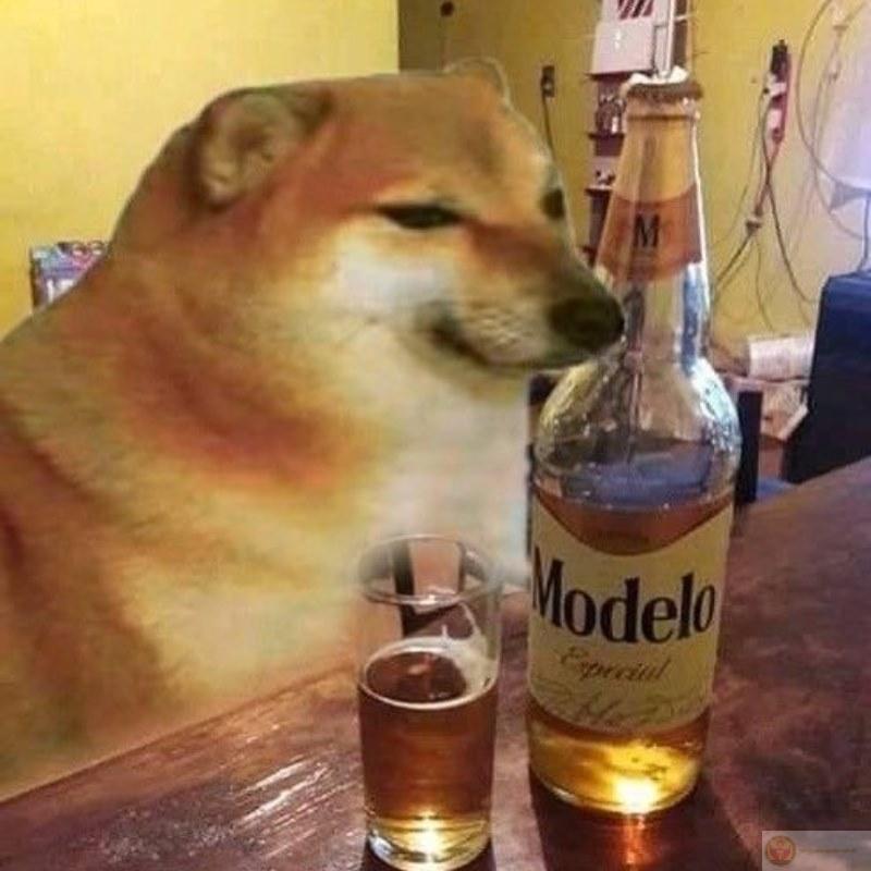 Brain lag 0.5s, tim lag 5 năm