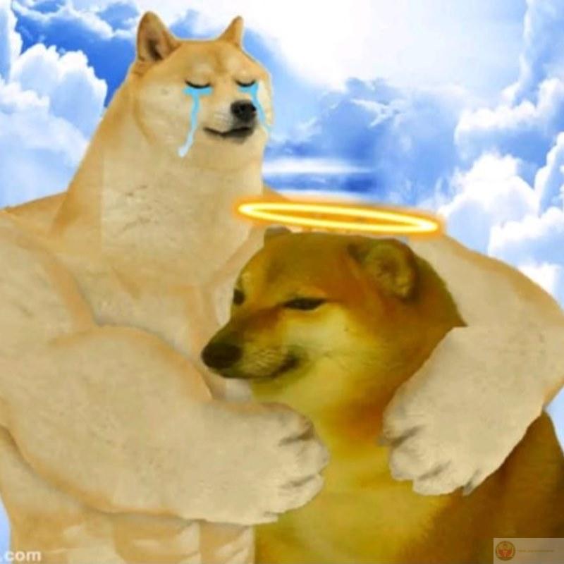 Tui tự nhiên lú, không phải cố tình