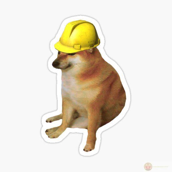 Tui nghĩ mình biết, rồi phát hiện là Cheems