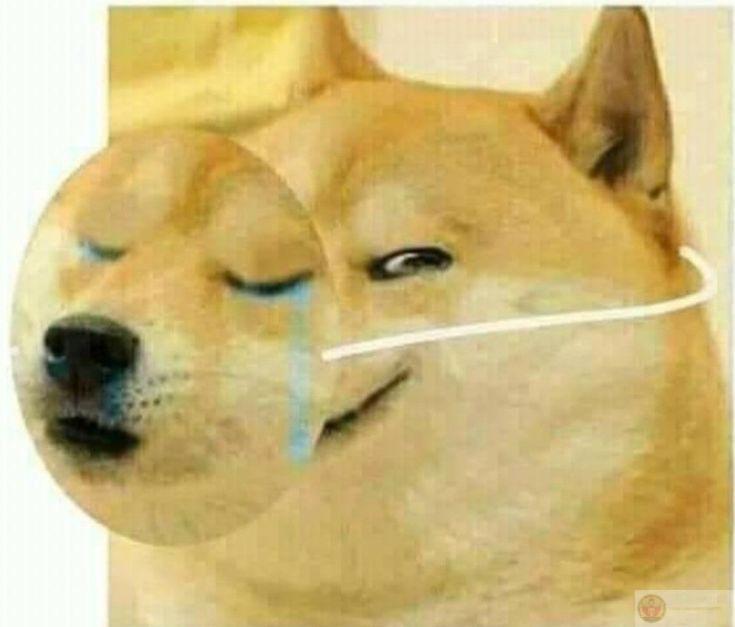 Tui nghĩ đúng rồi nhưng vẫn nói sai