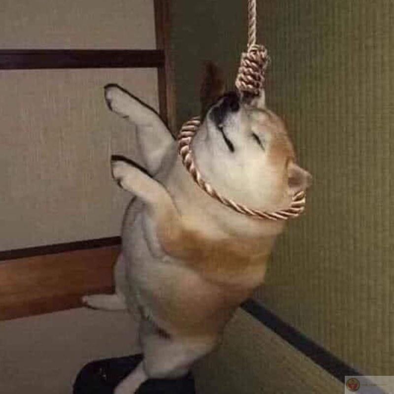 Tui không lo nghĩ, vì có nghĩ cũng lú