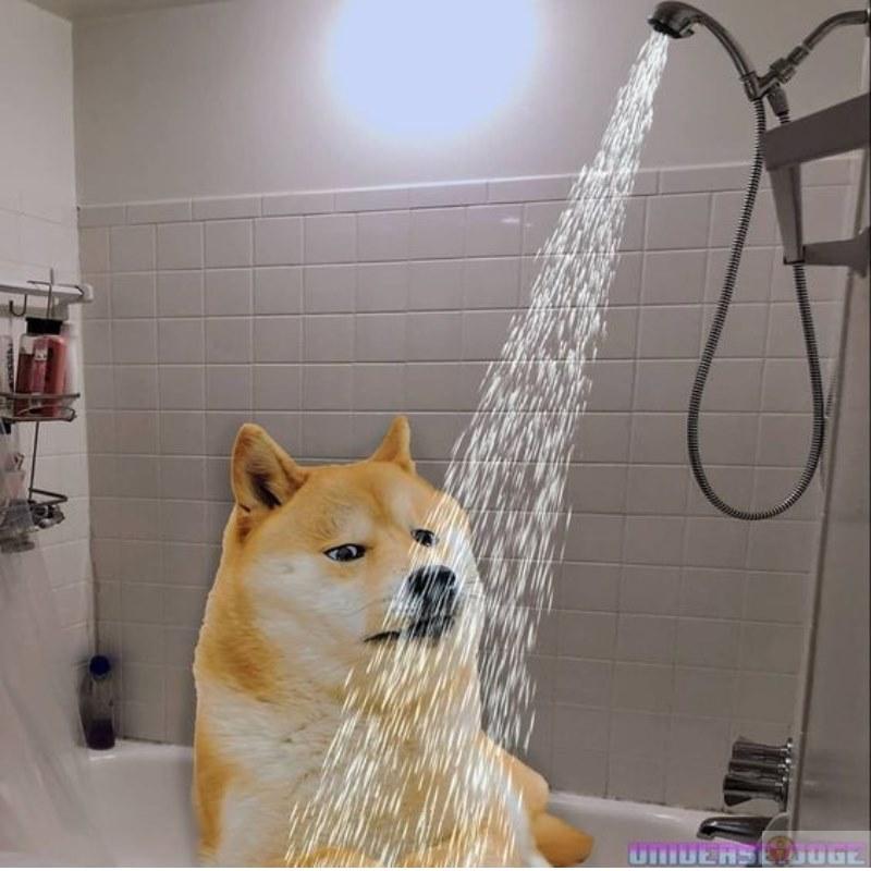 Tui không biết nên cười hay khóc nữa luôn