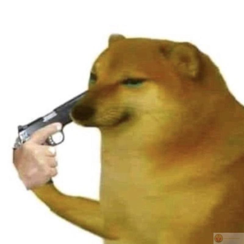Shiba meme