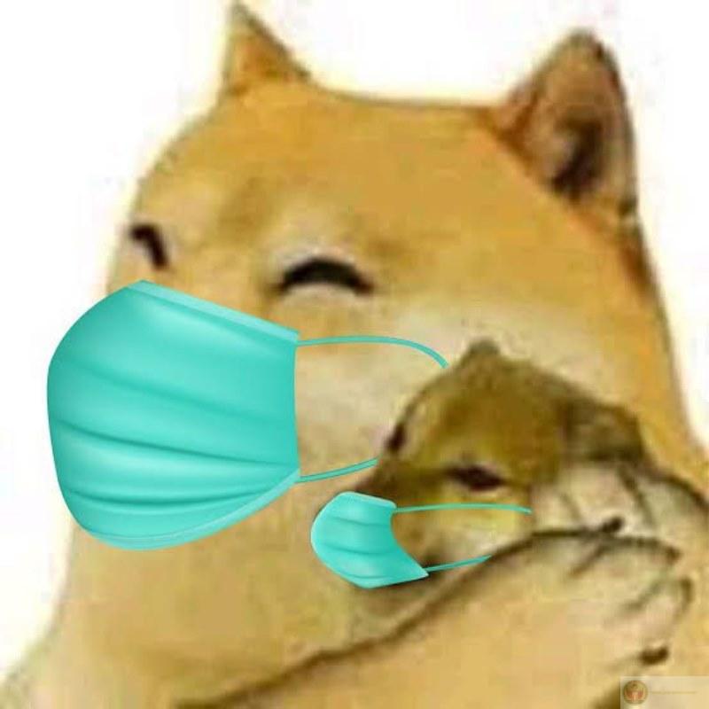 Mỗi lần bị hỏi bài là miệng hoá Cheems