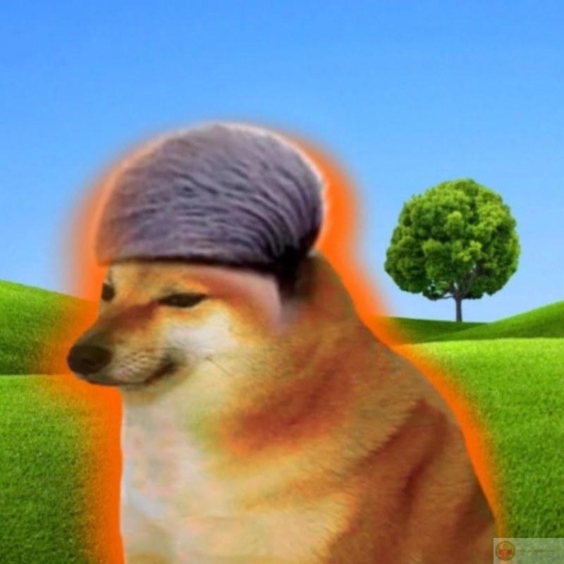 Hình nền Cheems meme