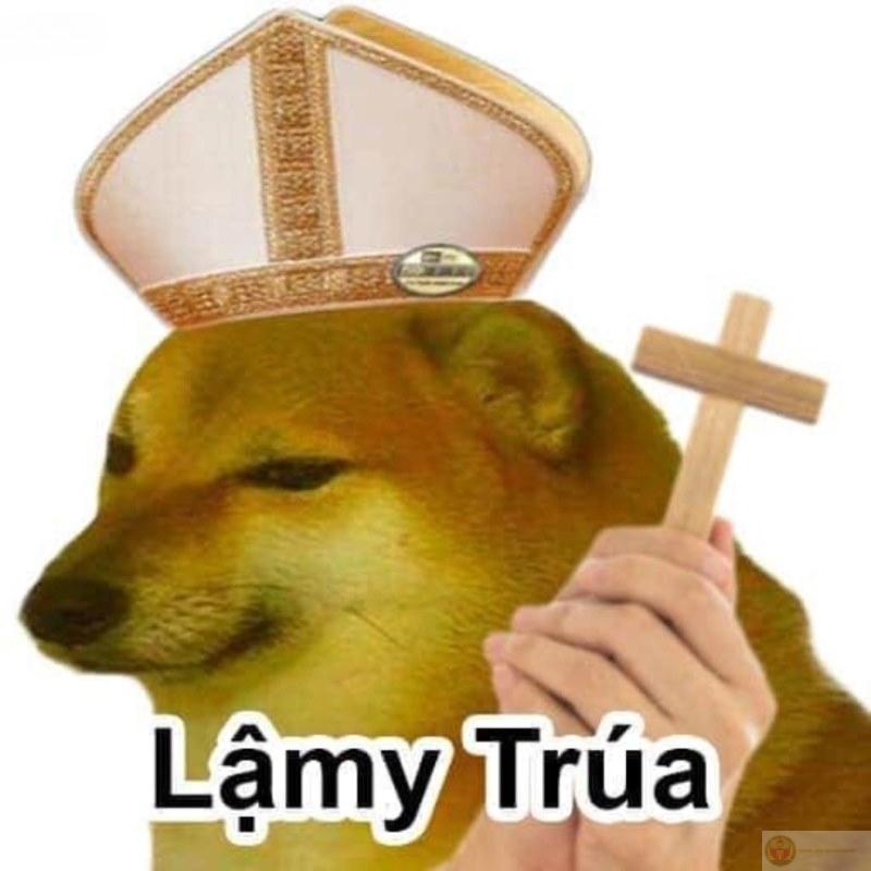 Me speak Cheems, not English