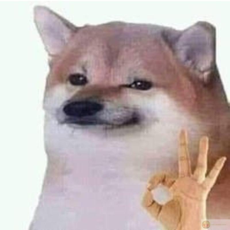 Me read smth, me forget in 2s