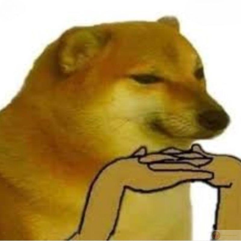 Me wake up, me forget what day is