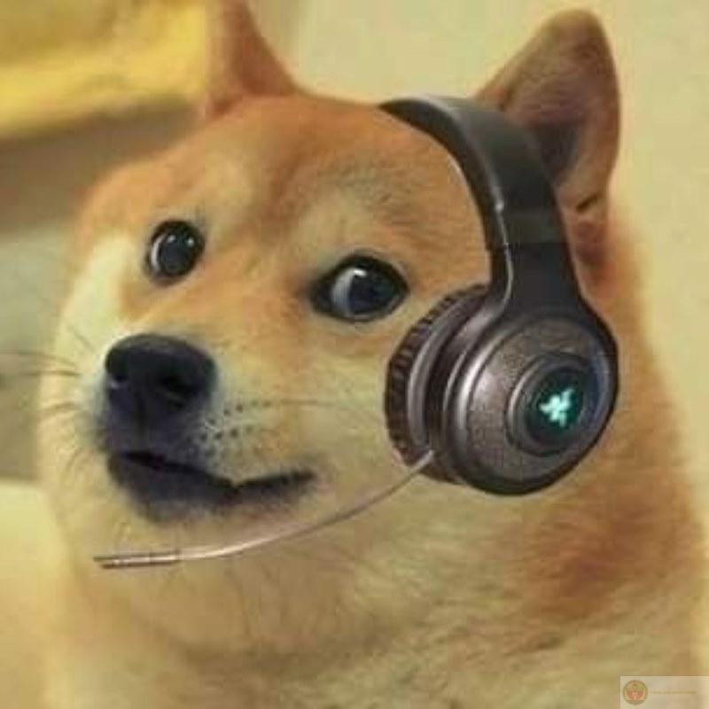 Mlem mlem bunger make me feel smort