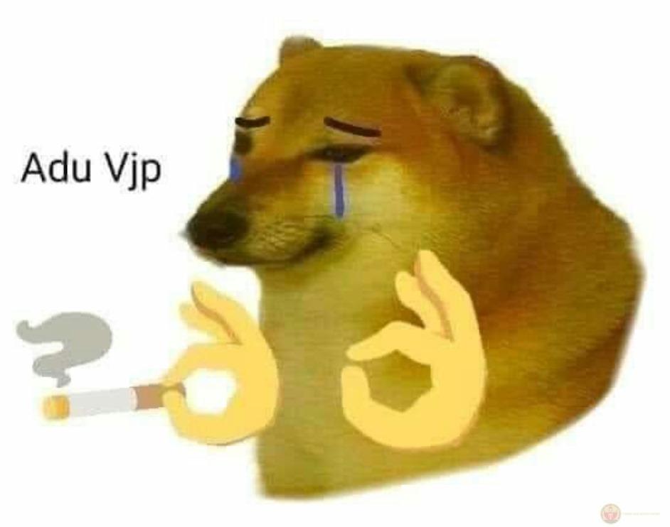 Mỗi lần Cheems nói là một lần lú tập thể