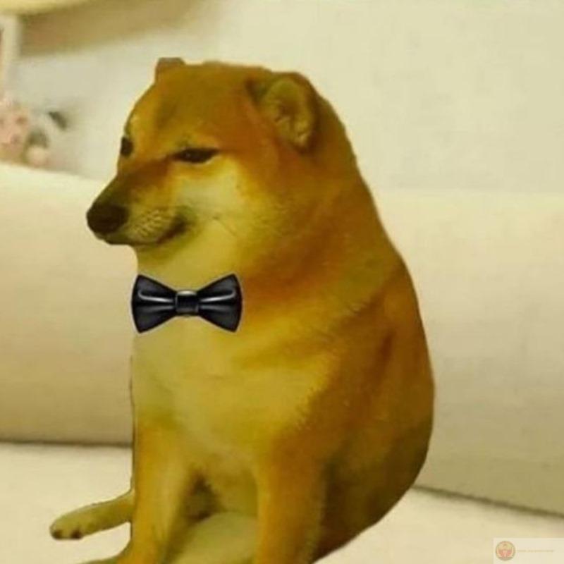 Bài kiểm tra nói