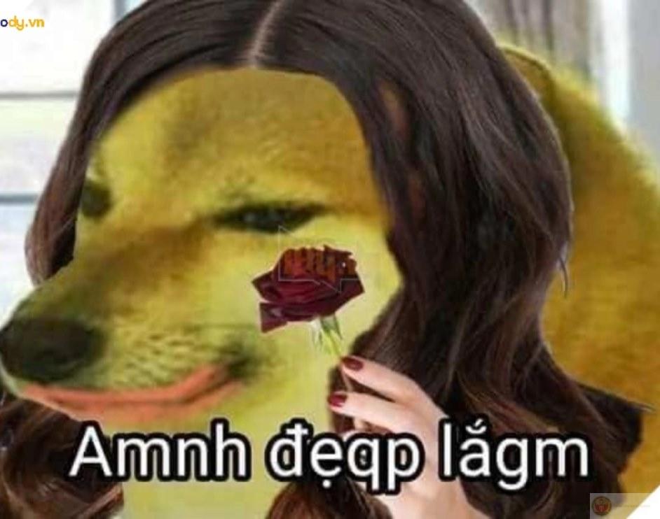 Mỗi lần Cheems lên tiếng là đổ vỡ xảy ra