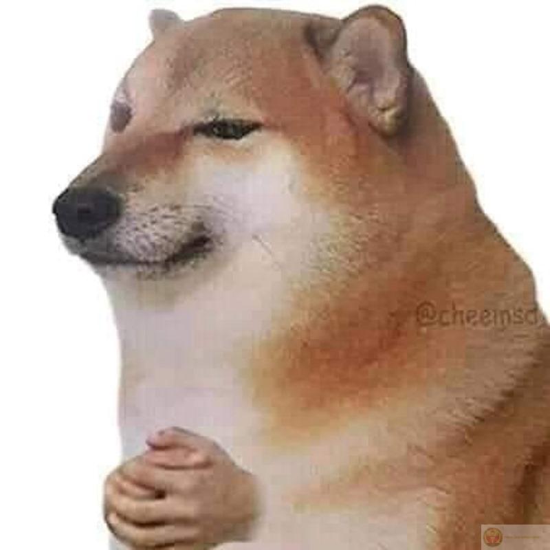 Nói sai lần đầu là tai nạn, lần sau là phong cách