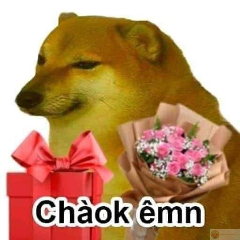 Não thì chạy, miệng thì đi lùi