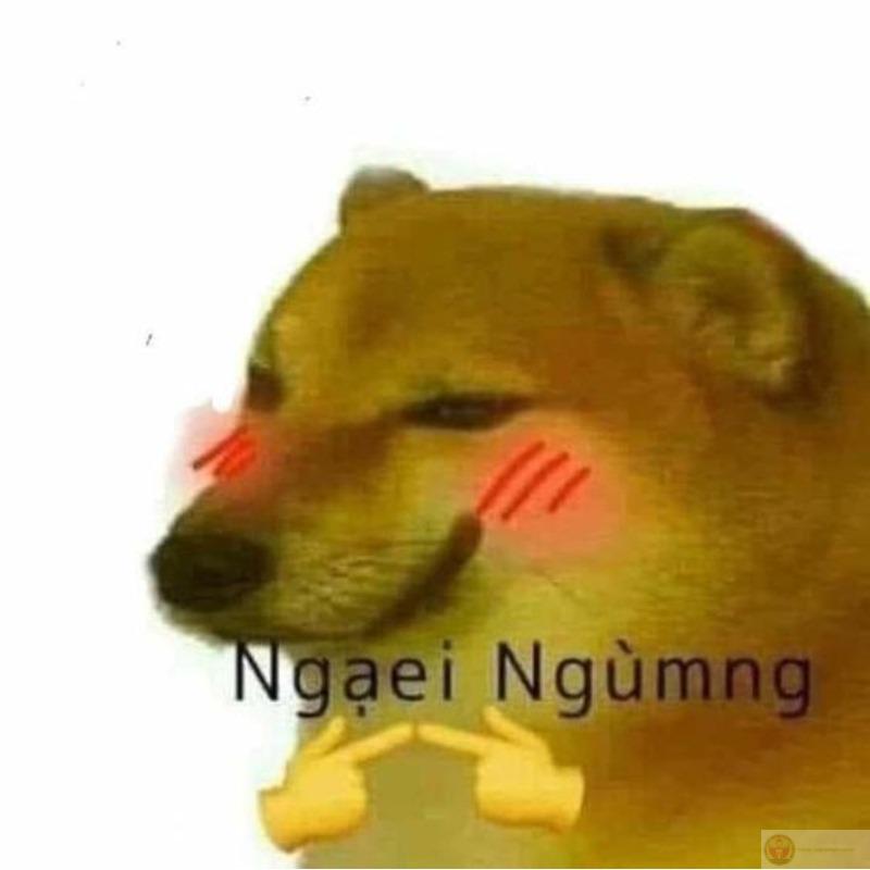 Cheems là tui mỗi lần bị gọi trả bài