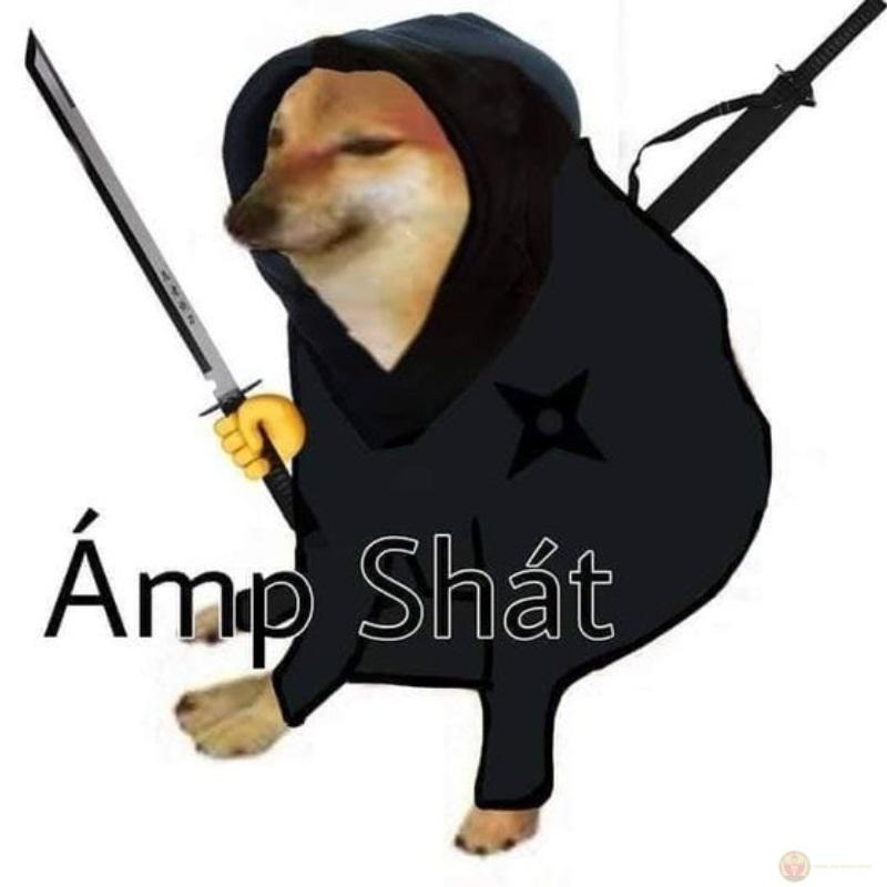 Một đời sai ngữ pháp nhưng không sai cảm xúc