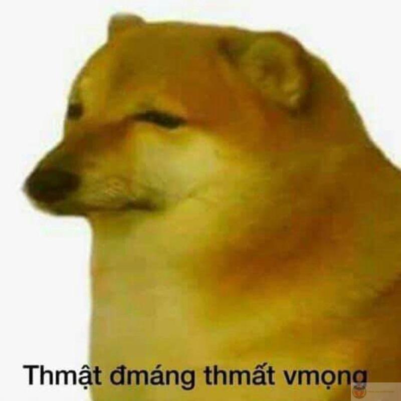 Một chữ "m" thôi, cả thế giới hiểu lầm