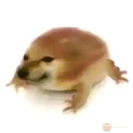 Tui đang giả vờ hiểu cho cả lớp yên